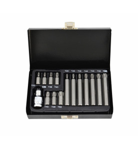 TORX SECURITY SCREWDRIVER BIT SET T20-T55 15pcs