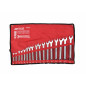 COMBINATION SPANNER SET 17pcs 6-22mm