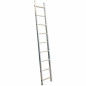ALUMINIUM LEANING LADDER 1x9 150kg