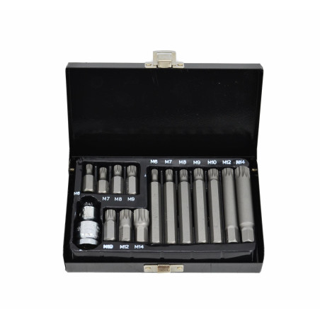 SPLINE SCREWDRIVER BIT SET M6-M14 15pcs 