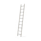 ALUMINIUM LEANING LADDER BASIC 1x10 150kg