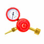 LPG/ PROPANE REGULATOR w/ PRESSURE GAUGE