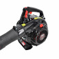 3-IN-1 PETROL LEAF BLOWER, VACUUM & MULCHING TOOL 0.75 kW 450ml