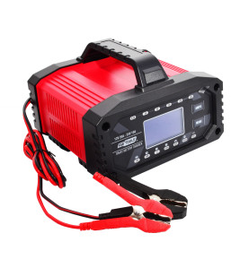 AWTOOLS PROSTOWNIK 12V&24V 20A LCD