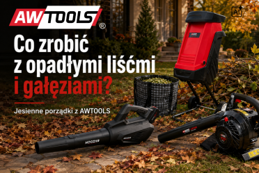 Liście opadły, co teraz? 