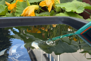 Ciśnieniowa czy zanurzeniowa - jaką pompę wybrać?